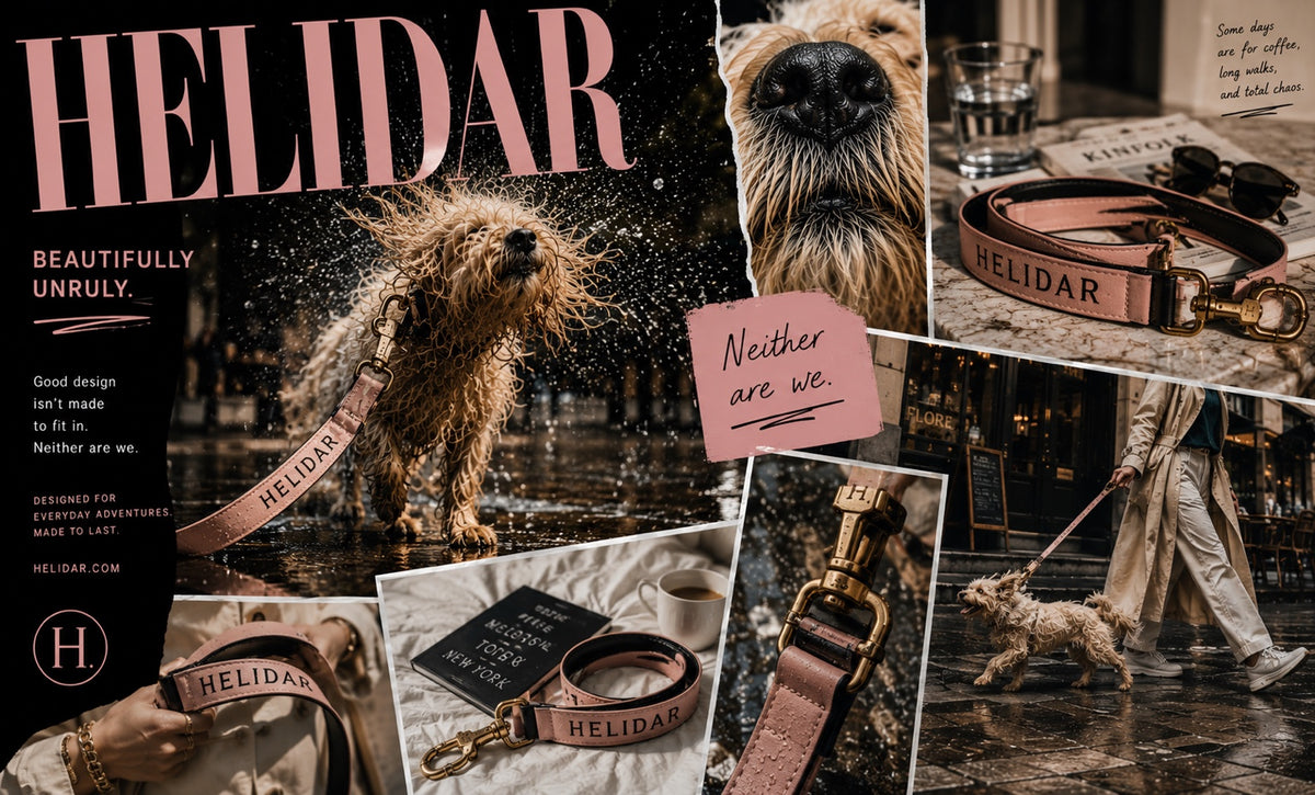 Helidar Beautifully Unruly editorial dog lifestyle banner