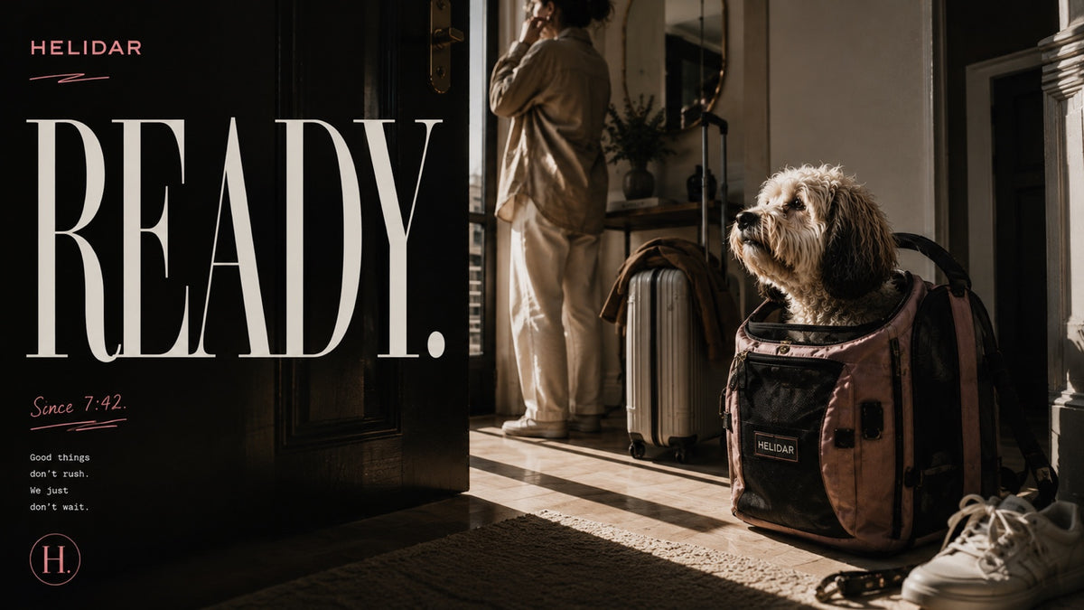 Helidar READY dog travel carrier editorial banner